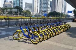 【8分钟科普下】乌海市工厂咨询电话号码_哔哩哔哩